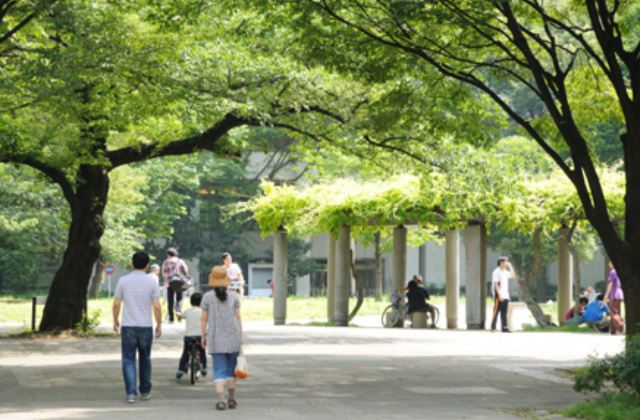 若い活気に溢れている！の画像